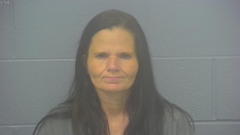 Arrest photo of CHRISTINA JOHNSON