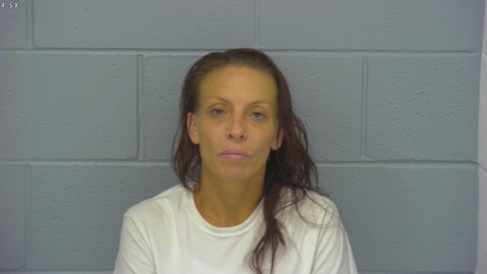 Arrest photo of CHRISTINA PETERSON