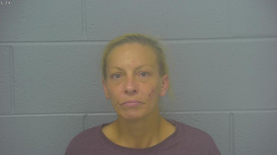 Arrest Photo of CHRISTINA PETERSON, arrested on 11/19/2024