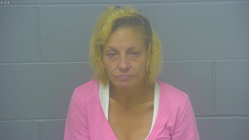 Arrest photo of CHRISTINA PETERSON