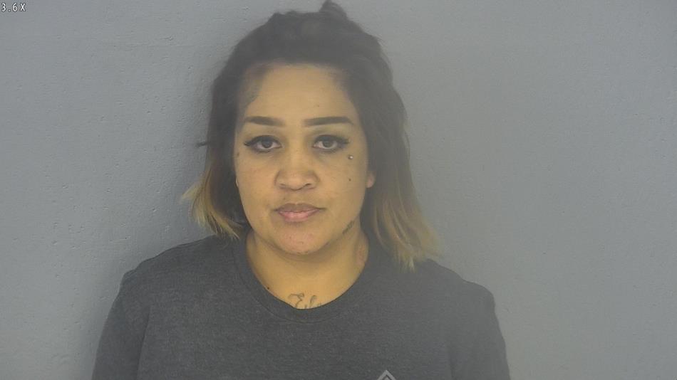 Arrest photo of CHRISTINA SAVE