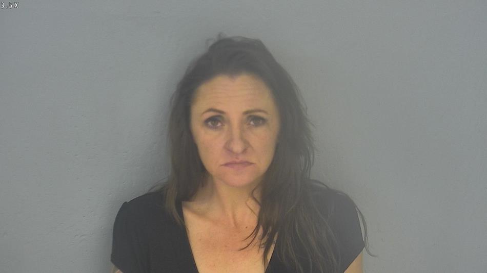 Arrest photo of CHRISTINA HOPKINS