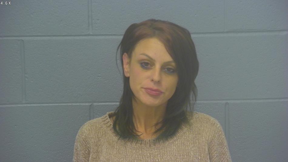 Arrest photo of CHRISTINE WATKINS