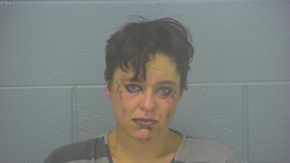 Arrest photo of CHRISTINE FREDRICKSON