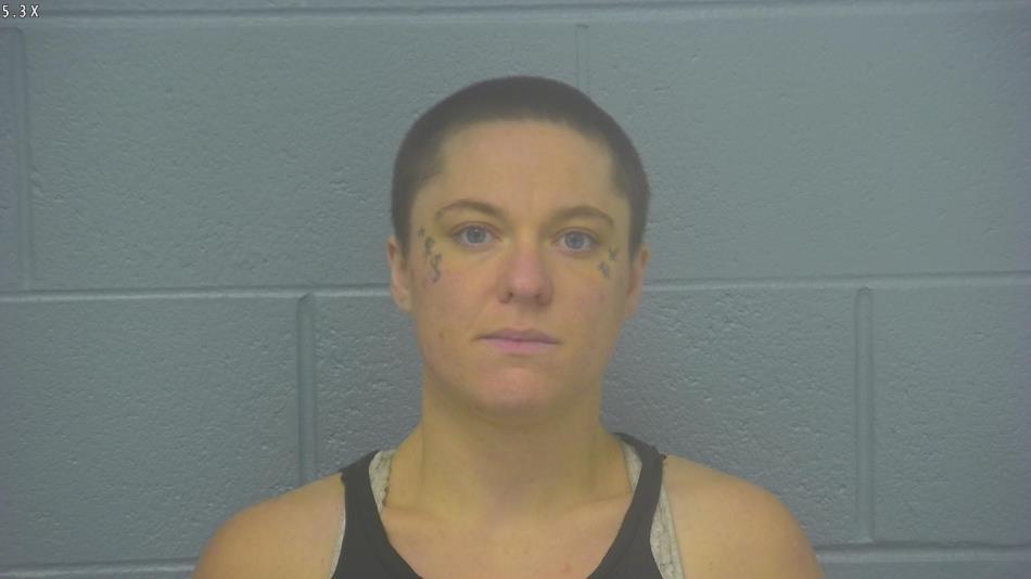 Arrest Photo of CHRISTINE FREDRICKSON, arrested on 5/29/2024