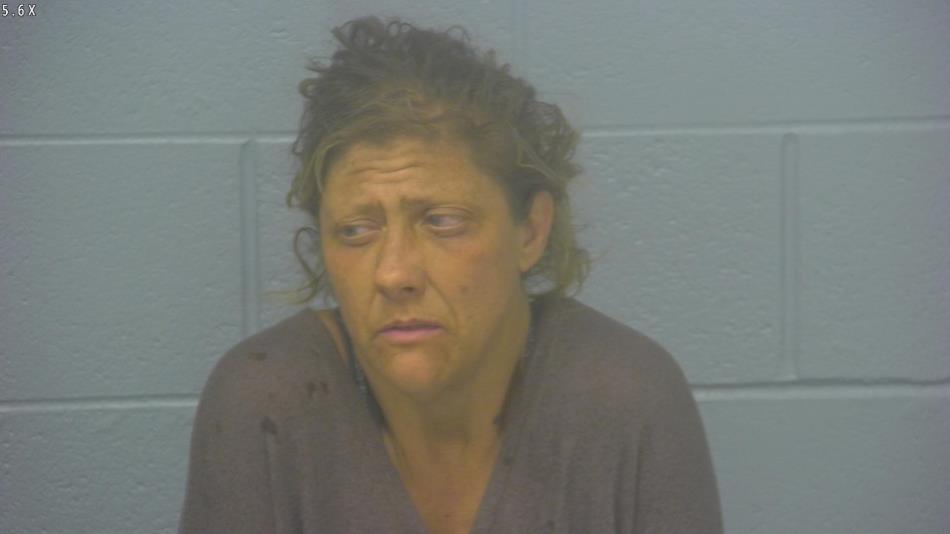 Arrest Photo of CHRISTINE STENGER, arrested on 2/26/2024