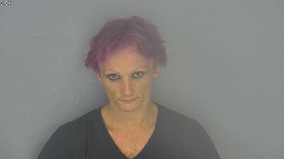 Arrest photo of CHRISTOPHER ELLISON