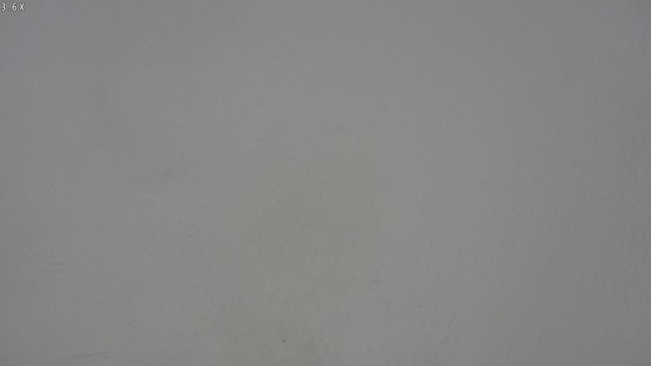 Arrest photo of CHYANN TRULOVE