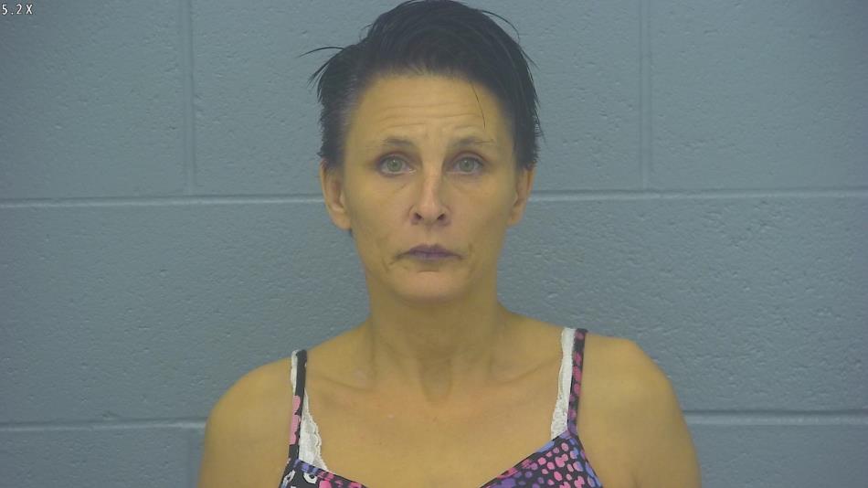 Arrest photo of CINDY WILLIAMS