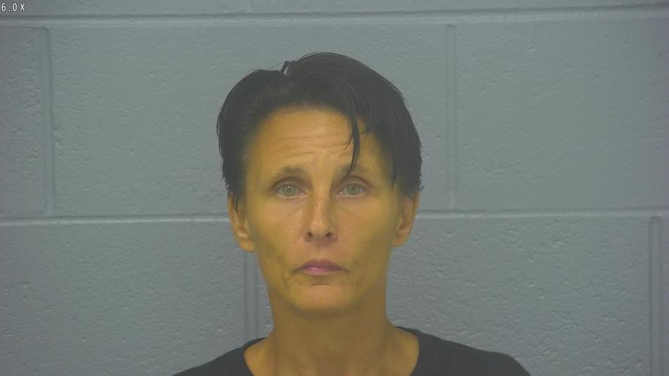 Arrest photo of CINDY WILLIAMS