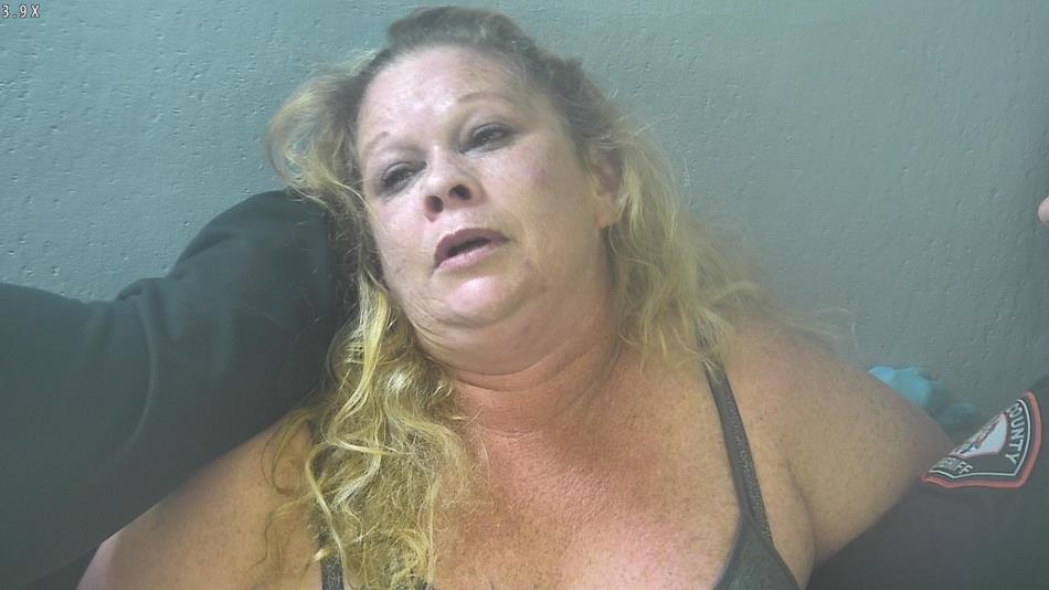 Arrest photo of CINDY SIMMONS