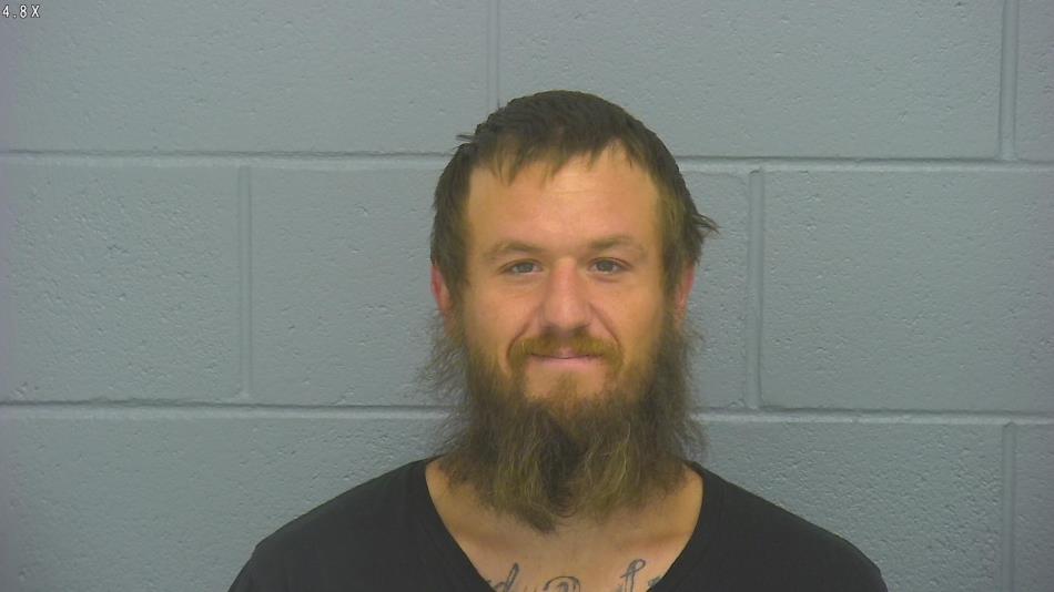 Arrest photo of CODI ADAMS