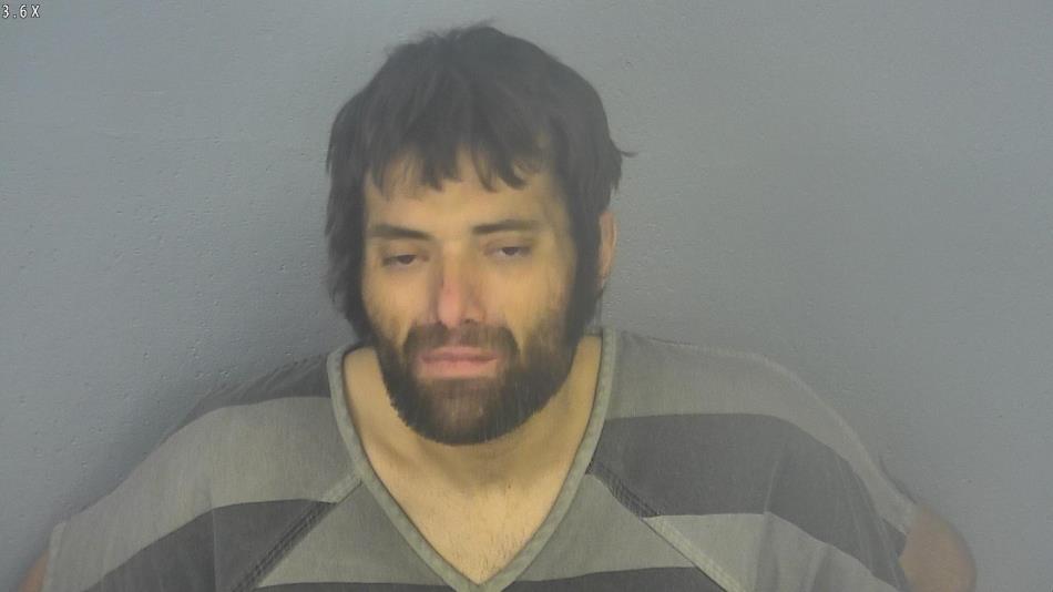 Arrest photo of CODY FERWALT