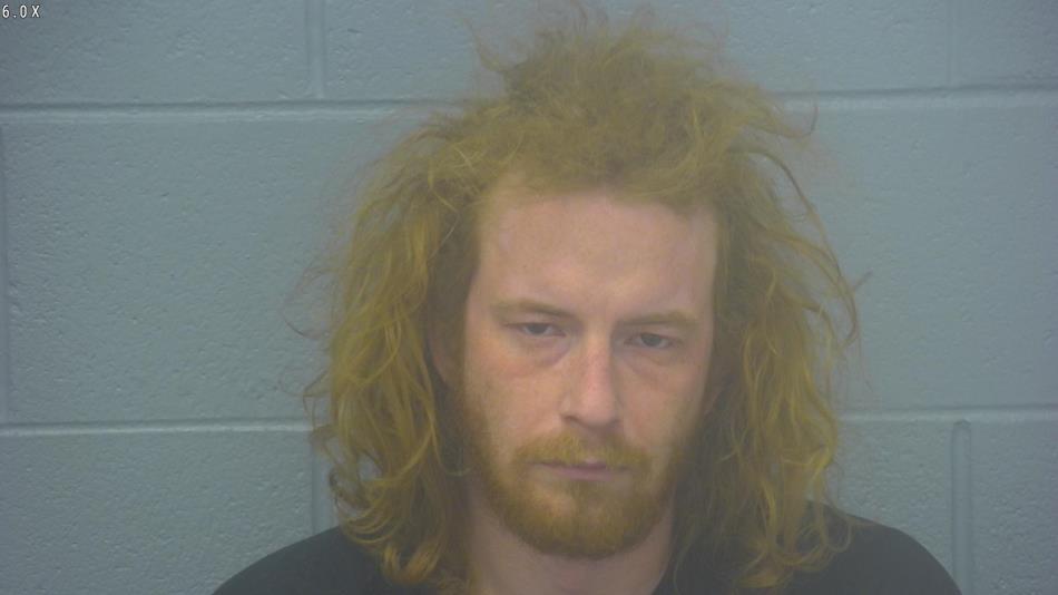 Arrest photo of CODY VANDALL