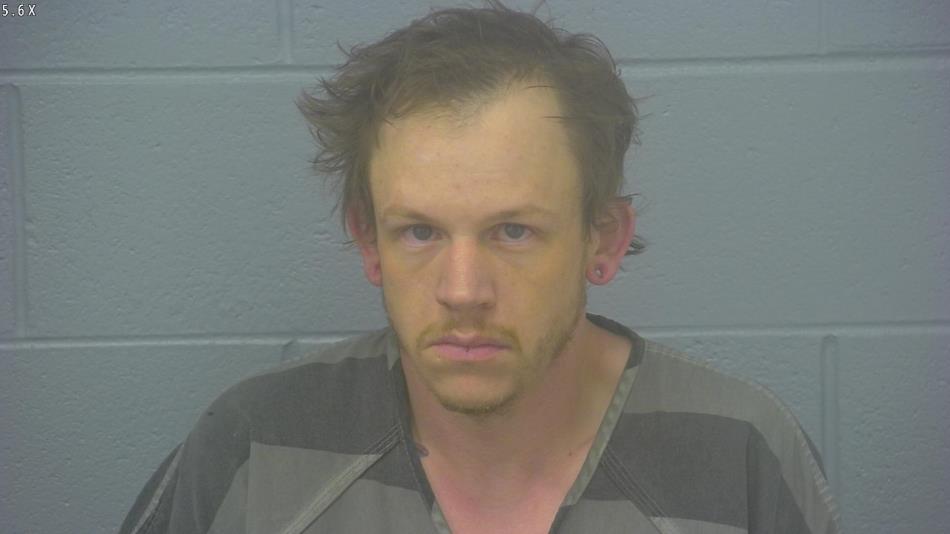 Arrest photo of COLBY BURRIS