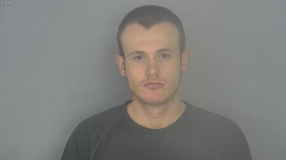 Arrest photo of COLBY WENDEBORN