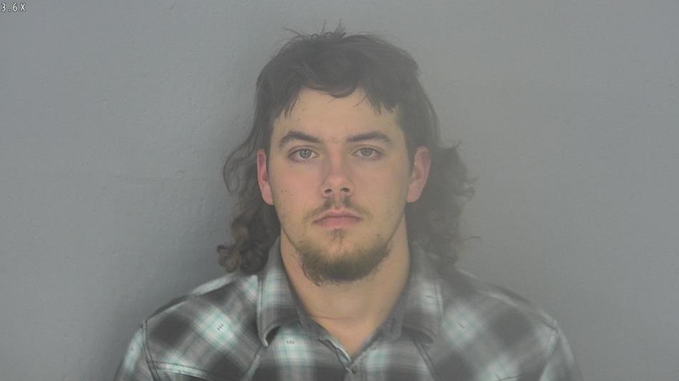 Arrest photo of COLBY VOGELER