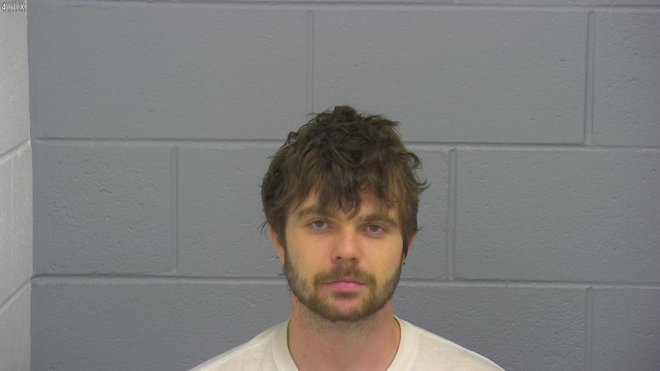 Arrest photo of COLE FANNING