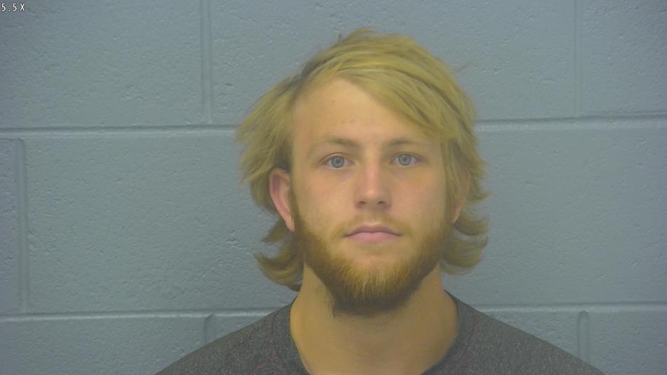 Arrest photo of COLE DILLE