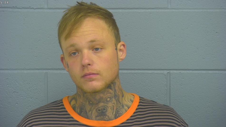 Arrest photo of COLLIN POWELL