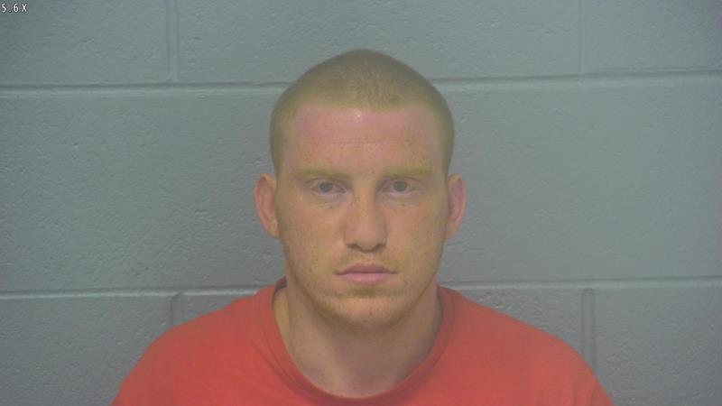 Arrest photo of COLLIN LEWIS