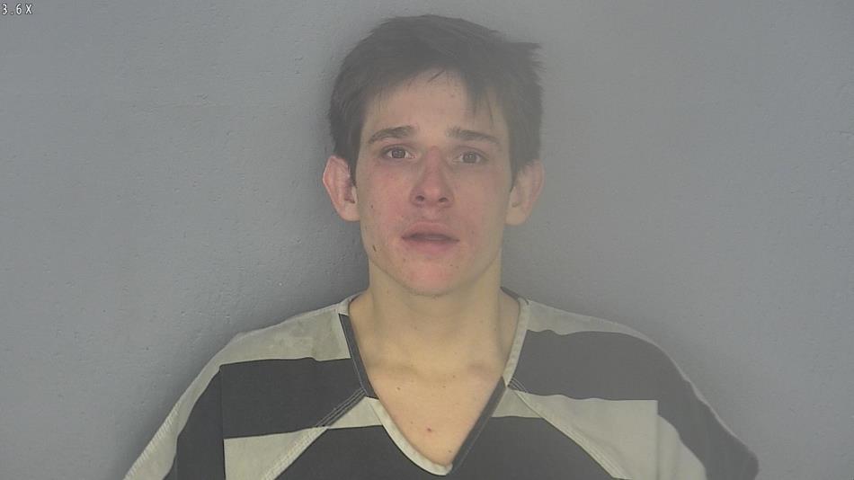 Arrest photo of COLTON DEVALITI