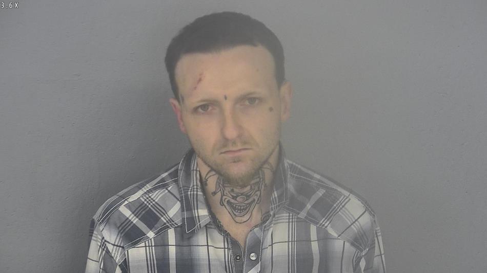 Arrest photo of COLTON WILSON