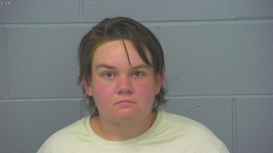 Arrest photo of COURTNEY SOUTHARD