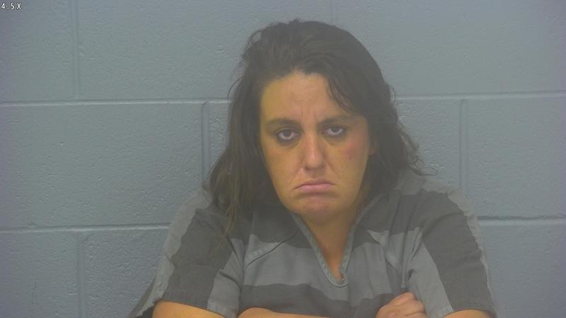 Arrest photo of COURTNEY DINGER