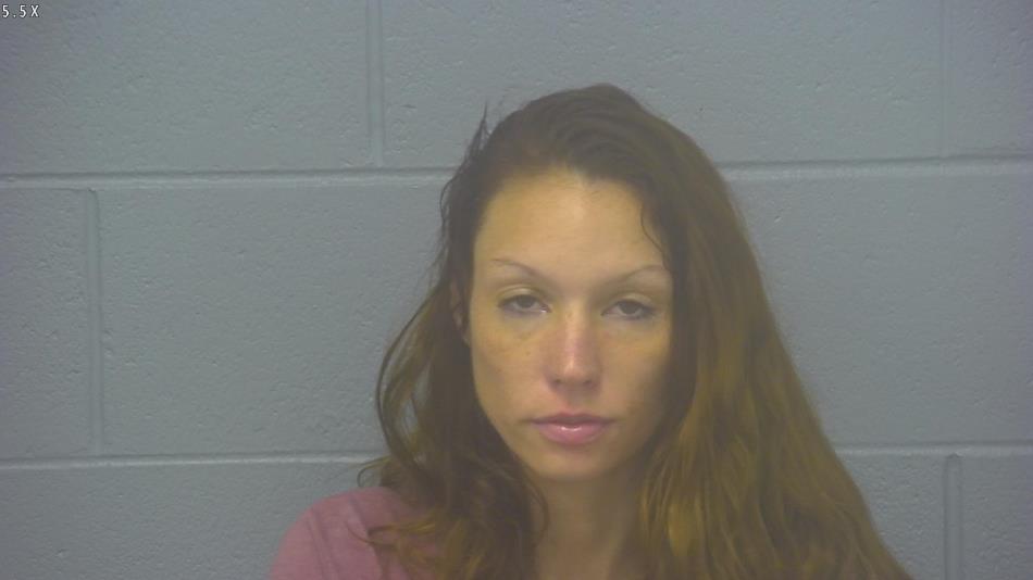 Arrest photo of COURTNEY ROSE