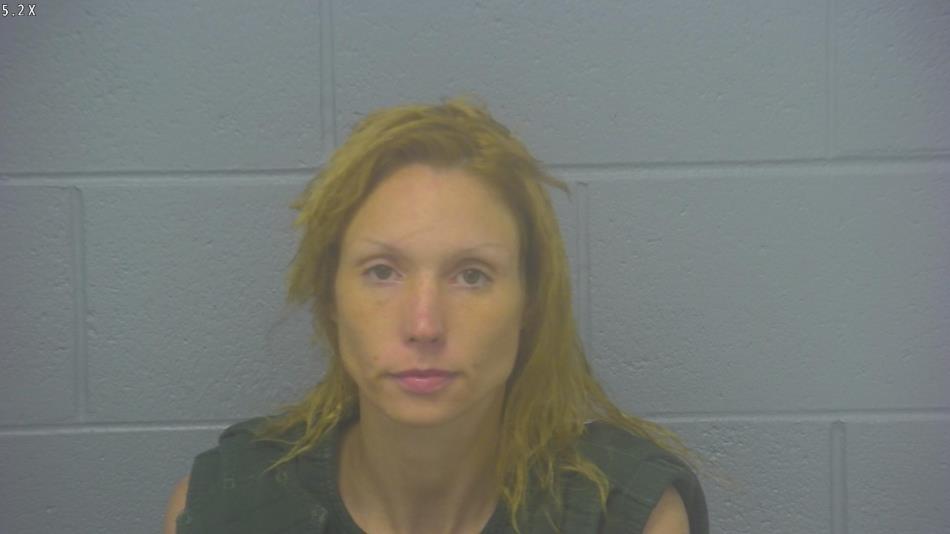 Arrest photo of COURTNEY ROSE