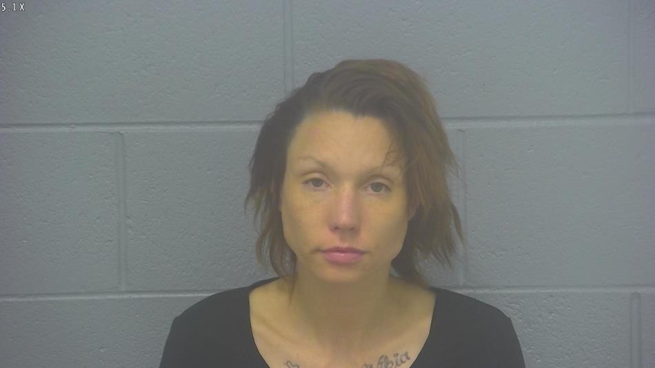 Arrest photo of COURTNEY ROSE