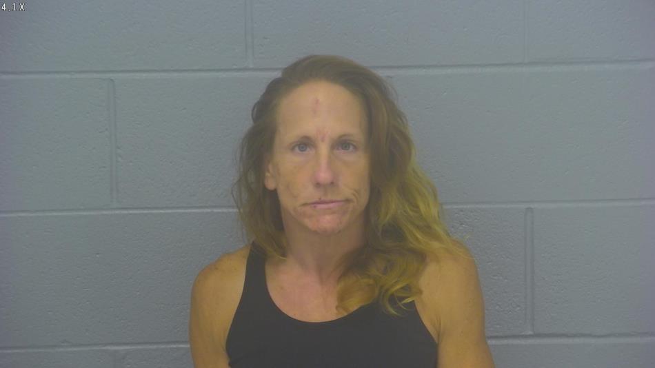 Arrest photo of CRISTA CURBOW