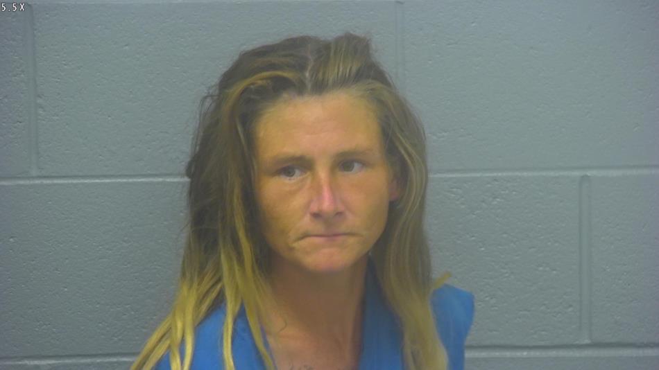 Arrest photo of CRYSTAL HENSON