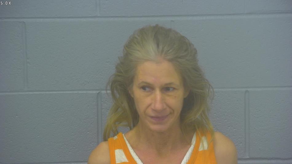 Arrest photo of CRYSTAL HAGGARD