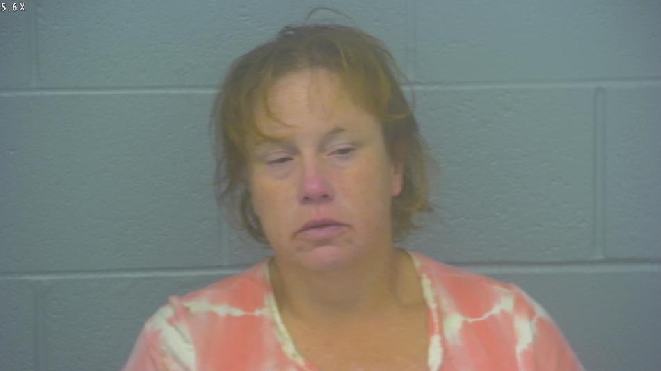 Arrest Photo of CRYSTAL BELL, arrested on 7/29/2024