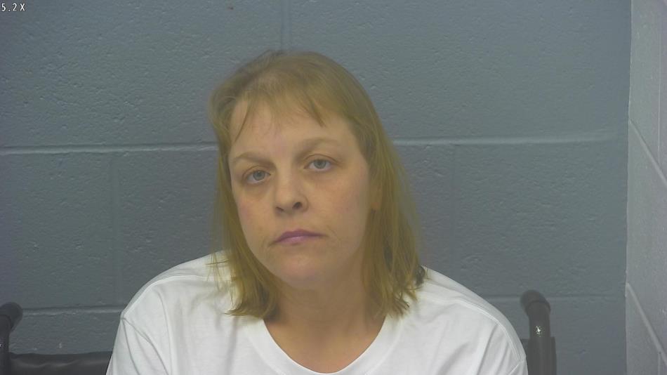 Arrest photo of CRYSTAL COOK