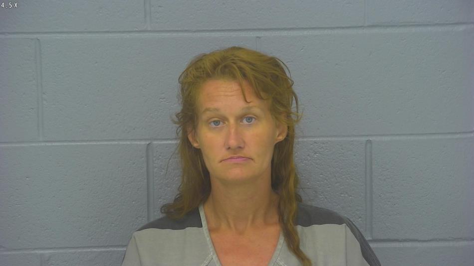 Arrest photo of CRYSTAL HICKS