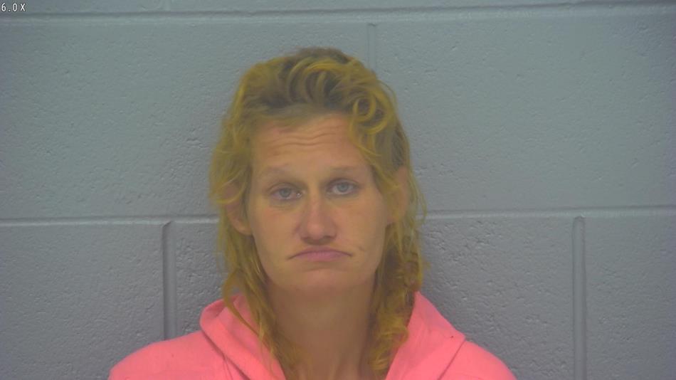 Arrest photo of CRYSTAL HICKS