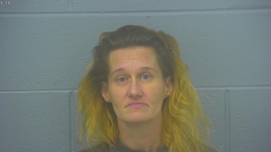 Arrest photo of CRYSTAL HICKS