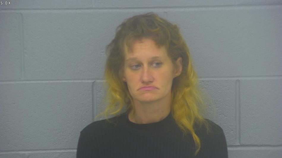 Arrest photo of CRYSTAL HICKS