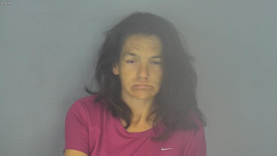 Arrest photo of CRYSTAL DYE