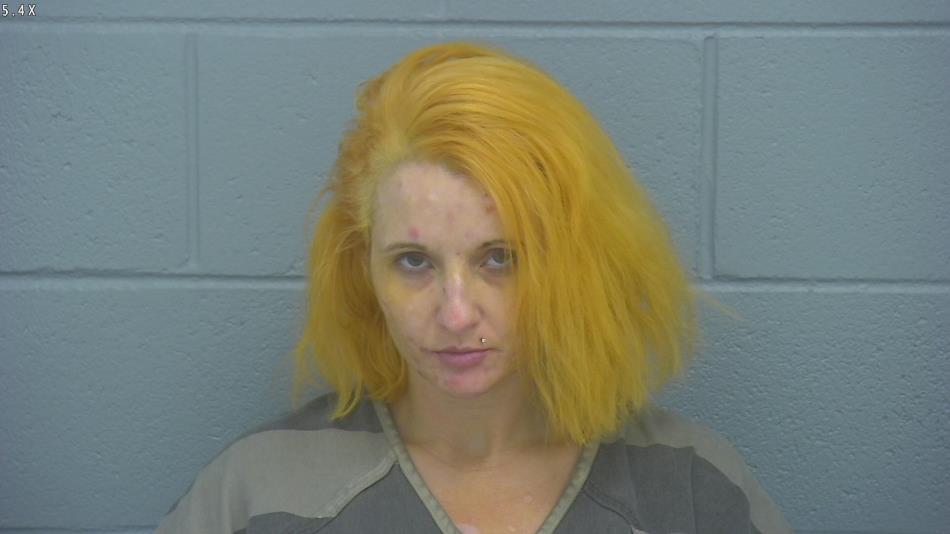 Arrest photo of CRYSTAL MARLAY