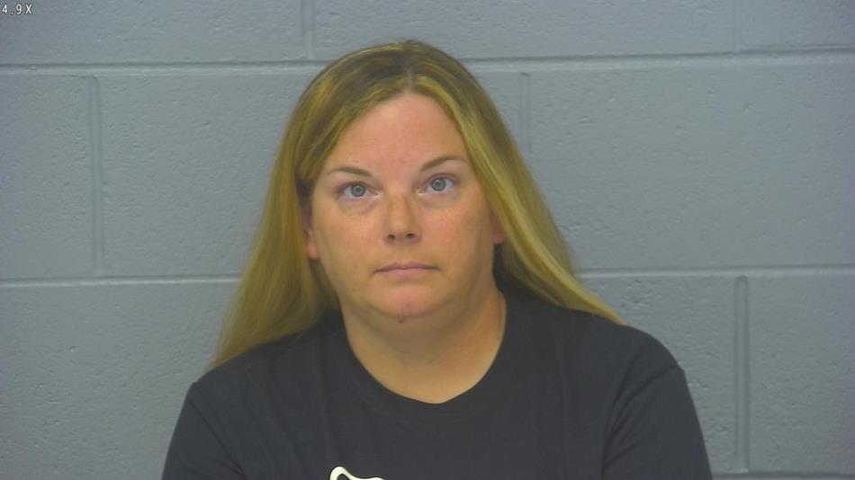 Arrest photo of CRYSTAL ERWIN