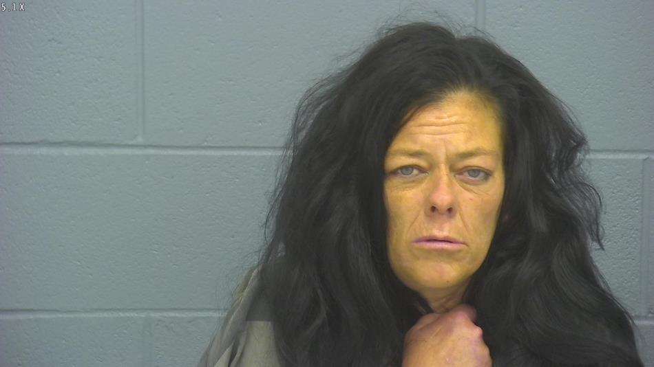 Arrest photo of CRYSTAL CASTEEL