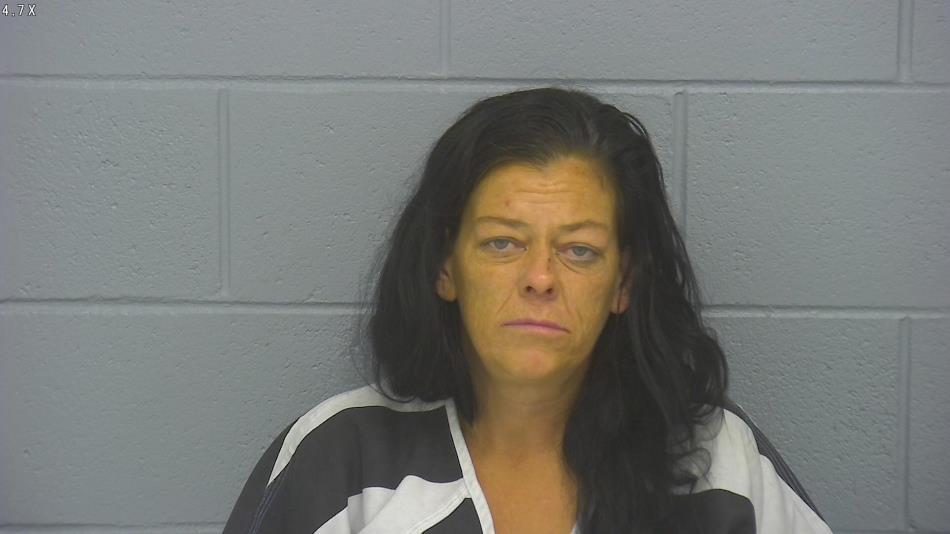 Arrest photo of CRYSTAL CASTEEL