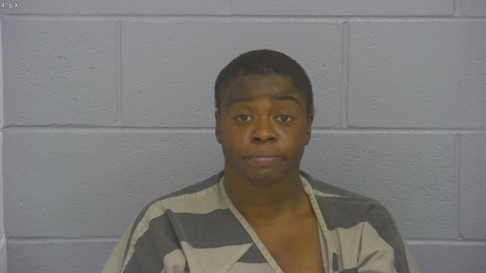 Arrest photo of CYNKIA JOHNSON