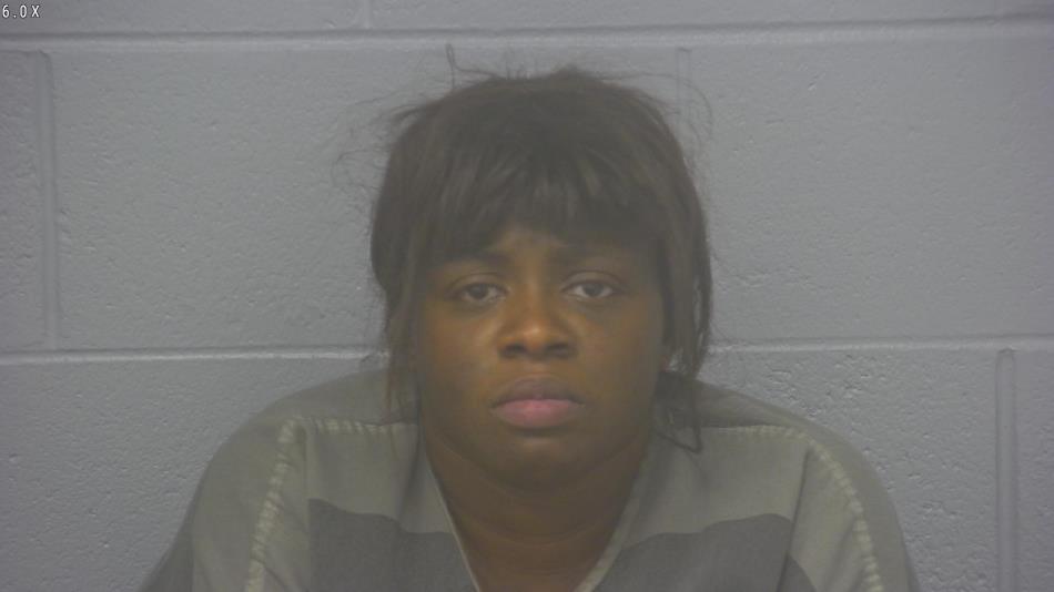 Arrest photo of CYNKIA JOHNSON