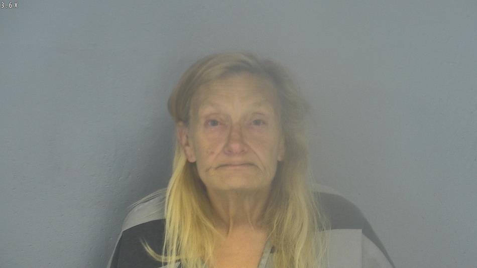 Arrest photo of CYNTHIA LEWIS