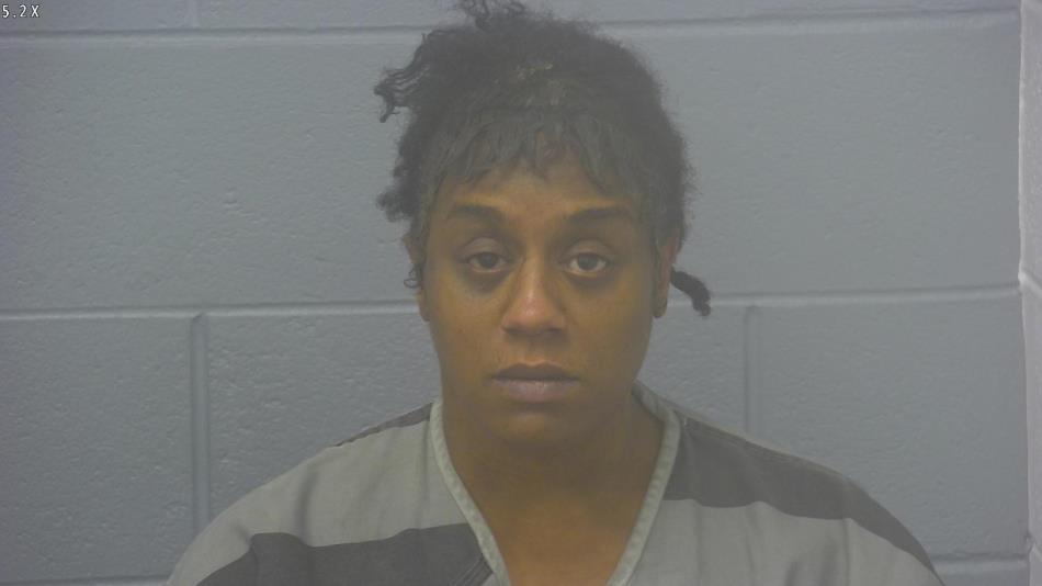 Arrest Photo of CYNTHIA BRANYON, arrested on 12/21/2024